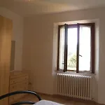 Le Foci